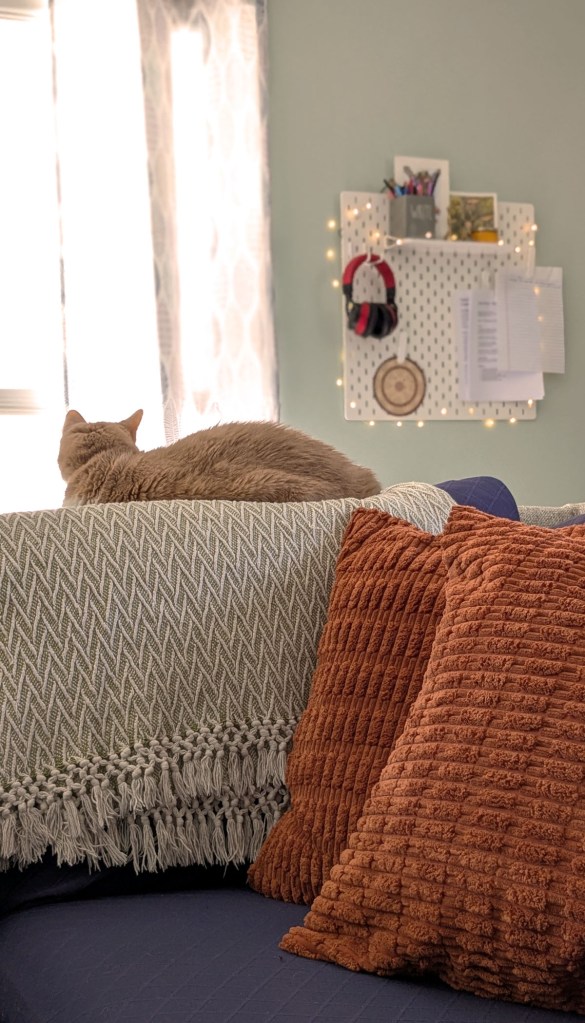 A cat laying on a woven green and white blanket next to textured burnt orange throw pillows, staring back at a pegboard with fairy lights, art, and to-do lists.