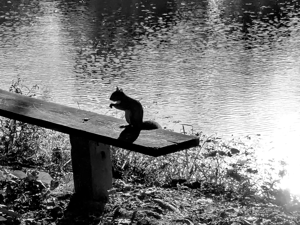 The Ordinary #3: Feral Garden&nbsp;Fairy